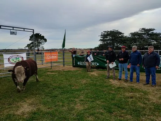 tn_IMG_20240614_153231301_HDR