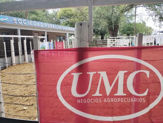 tn_IMG_20240306_130910045