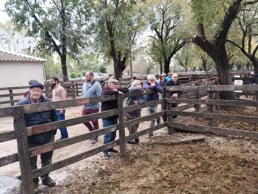 tn_IMG_20240430_144955014