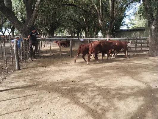 tn_IMG_20250220_155609948