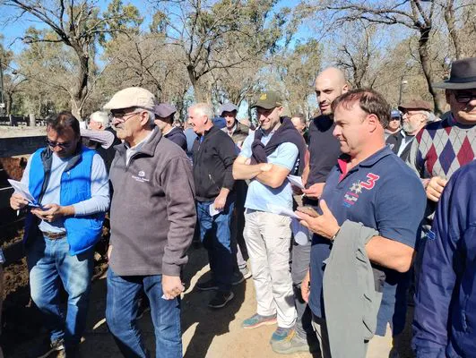 tn_IMG_20240829_150246315_HDR