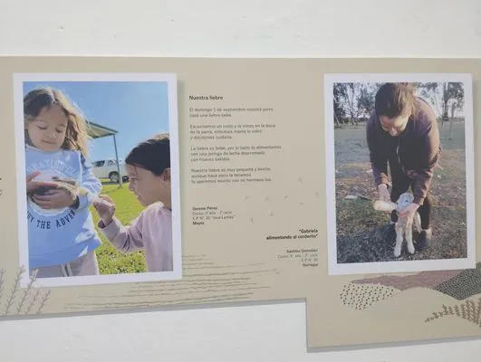 tn_IMG_20241015_185333626