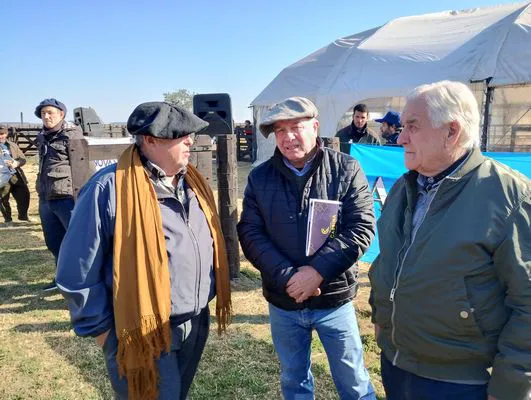 tn_IMG_20240711_130833278_HDR