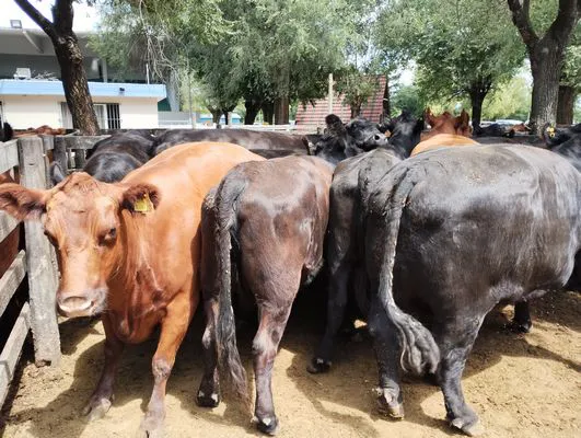 tn_IMG_20240221_123134588_HDR