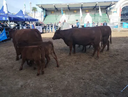 tn_IMG_20250521_101633595