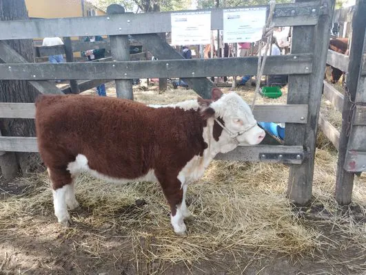 tn_IMG_20250508_150059454