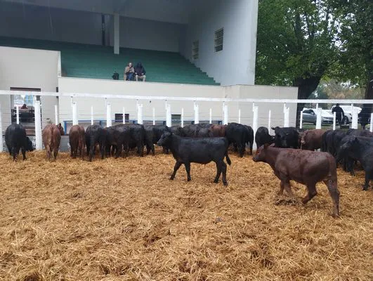 tn_IMG_20241023_122655607