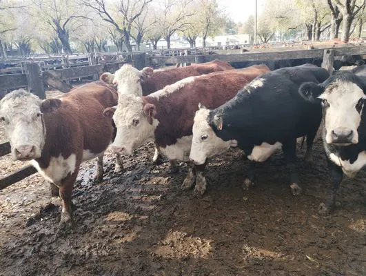 tn_IMG_20240529_105046016