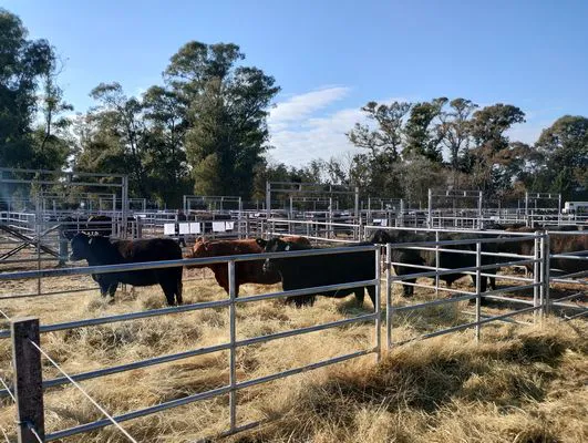 tn_IMG_20240711_112344257_HDR