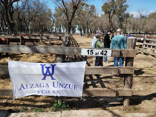 tn_IMG_20240906_121359954