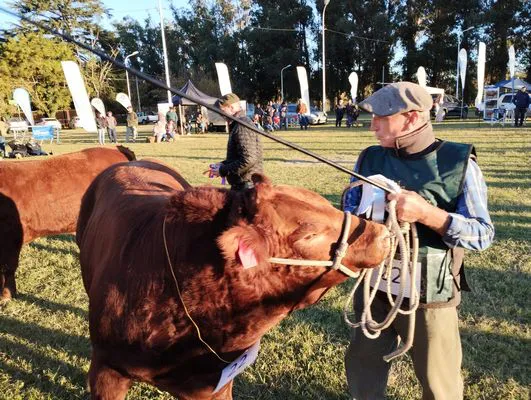 tn_IMG_20240502_173058785_HDR