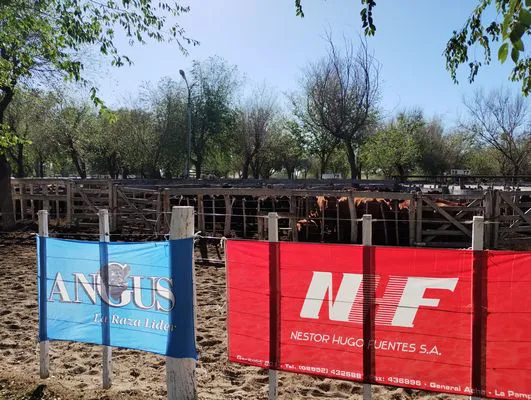 tn_IMG_20240405_103224839