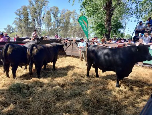 tn_IMG_20241026_151311131_HDR