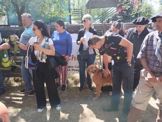 tn_IMG_20241026_110638284