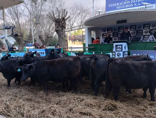 tn_IMG_20240625_171627958_HDR