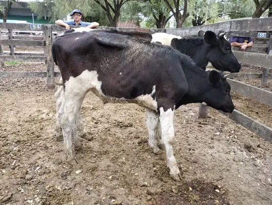 tn_IMG_20240306_152538458