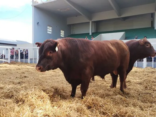 tn_IMG_20241008_161836340