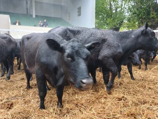 tn_IMG_20241023_130445753_HDR