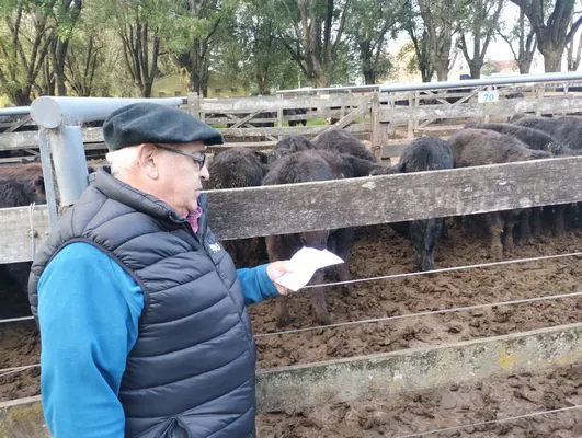 tn_IMG_20250505_164600435