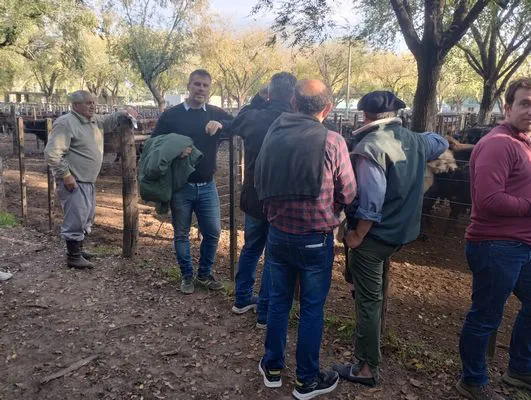 tn_IMG_20250425_163127438_HDR