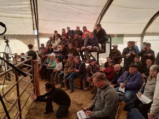 tn_IMG_20240711_145230385_HDR