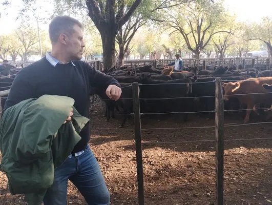 tn_IMG_20250425_163151243