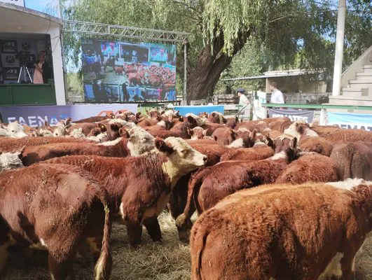 tn_IMG_20240322_151259495