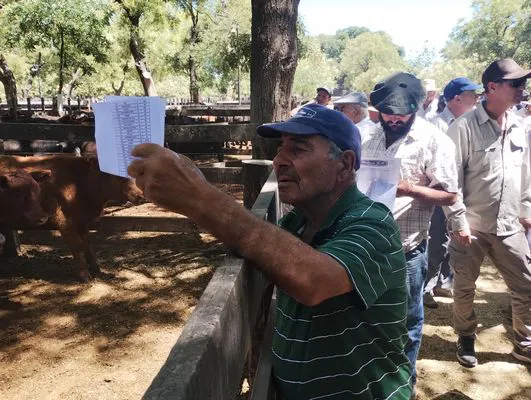 tn_IMG_20250122_115024232