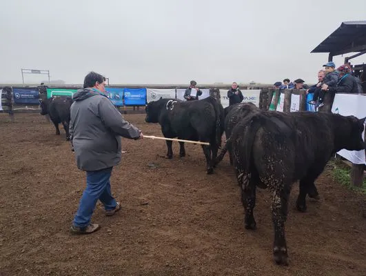 tn_IMG_20240806_105646481