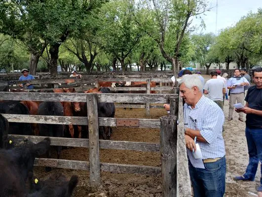 tn_IMG_20240306_153037401_HDR