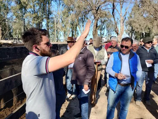 tn_IMG_20240829_152024561_HDR