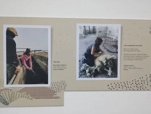 tn_IMG_20241015_185437675