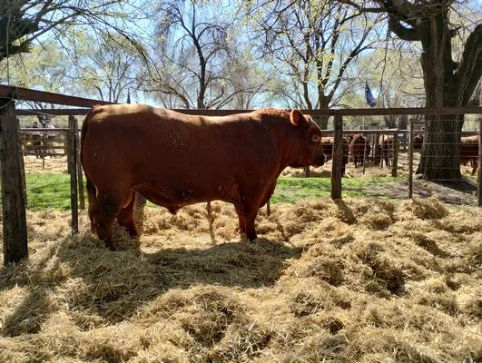 tn_IMG_20240907_113016498_HDR