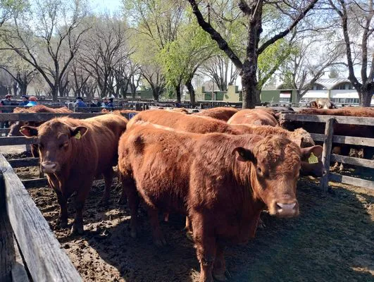 tn_IMG_20240828_115526766_HDR