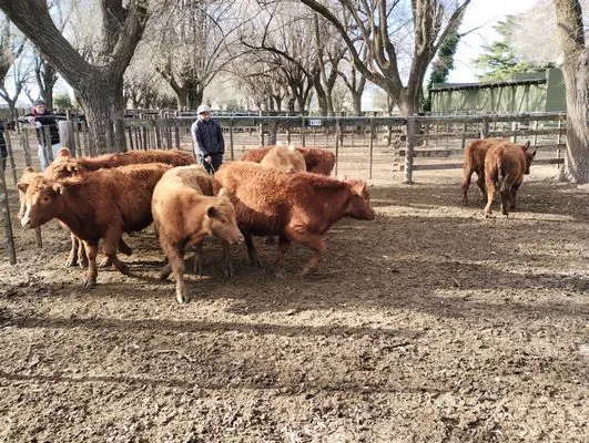 tn_IMG_20240628_150832885