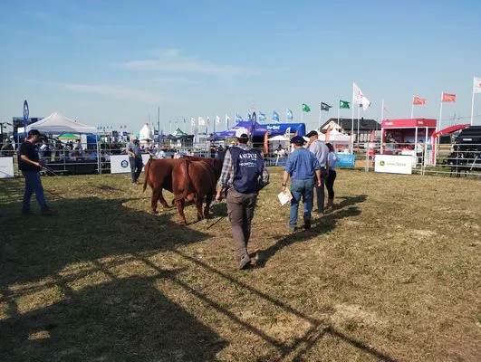 tn_IMG_20240918_161736625