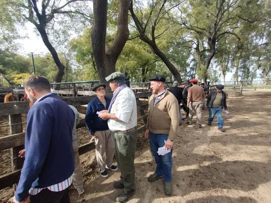 tn_IMG_20250514_131800304