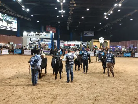 tn_IMG_20250520_171652409