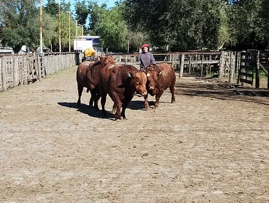 tn_IMG_20240501_115604916