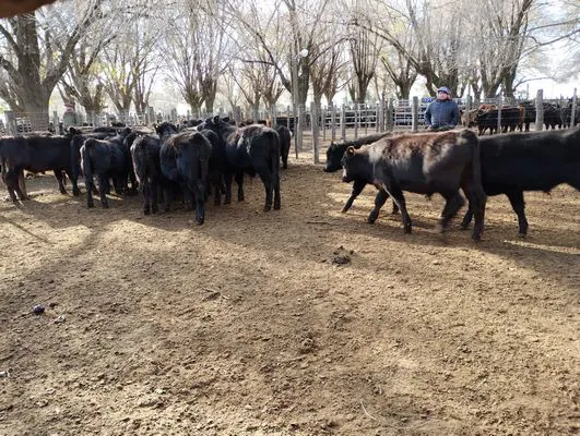 tn_IMG_20240628_151210036