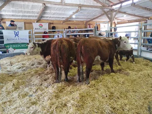 tn_IMG_20240906_160447659