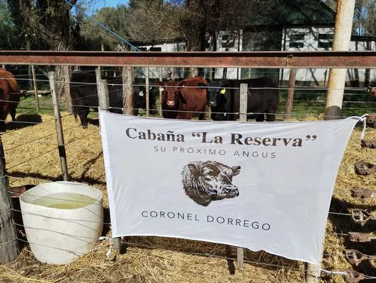 tn_IMG_20240907_112531218_HDR