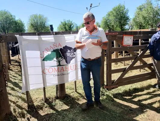 tn_IMG_20241026_111043738_HDR