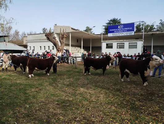 tn_IMG_20240530_143802085