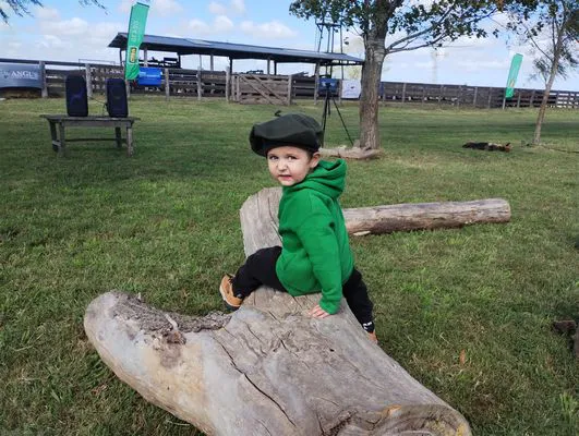 tn_IMG_20250409_124827818