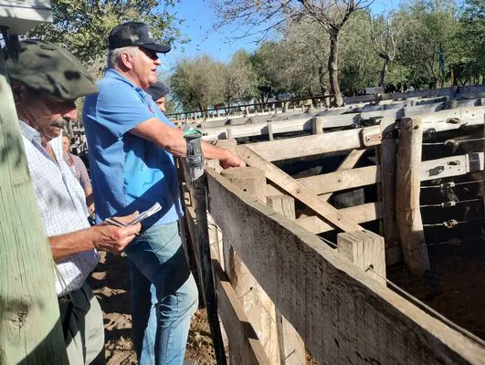 tn_IMG_20240405_165447078_HDR