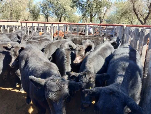 tn_IMG_20240406_133958001_HDR