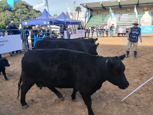 tn_IMG_20250521_102223612_HDR