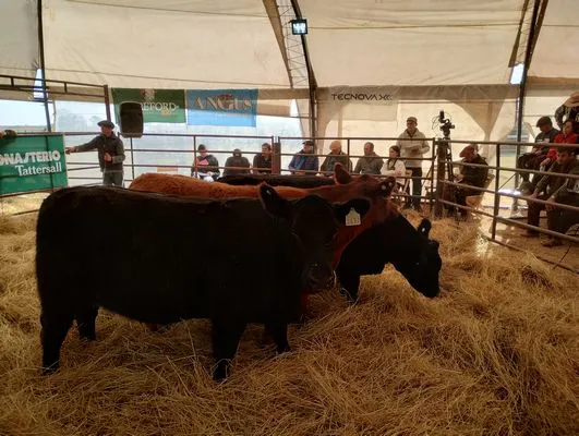 tn_IMG_20240711_151342483_HDR