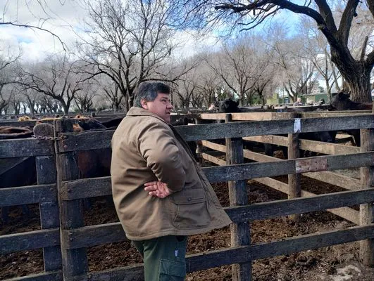 tn_IMG_20240628_144020286_HDR